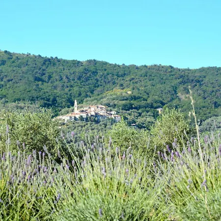 Il Rifugio - Bcm110 By Interhome * Boscomare