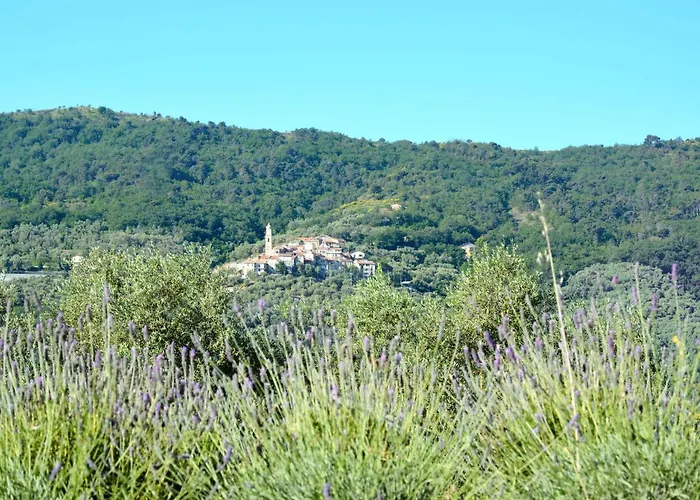 Il Rifugio - Bcm110 By Interhome * Boscomare